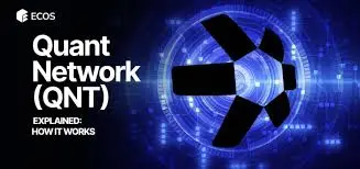 Quant Network